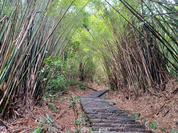 【新北五股】登高望遠。 No5小百岳~硬漢嶺步道 (觀音山)2501758