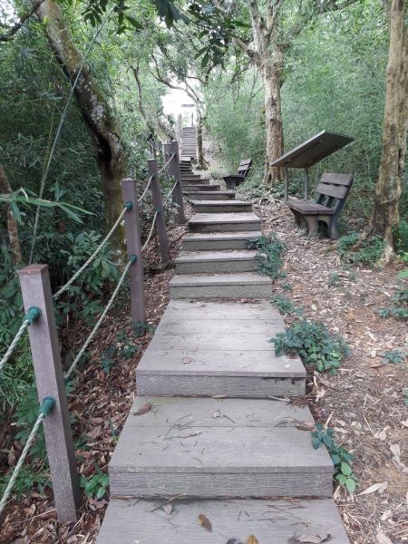 台中新田登山步道20180823396403