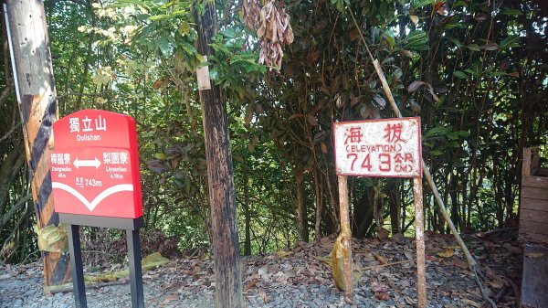 20210228獨立山大籠頂步道1618519