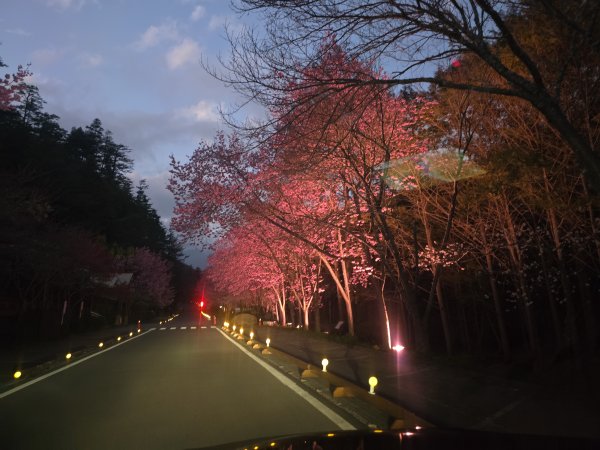 20250228 桃山+池有山2919193