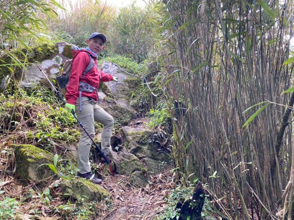 小觀音山群峰【當登山遇到惰性來襲時…】2686378