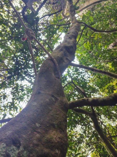 鳳鳴古道 鳳鳴山 南隘勇（南長城）古道 三湖山 八達嶺（龍骨）古道 綠色古道 延平古道2975332