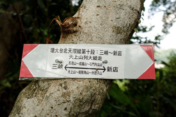 南勢角山｜烘爐地小百岳2892072