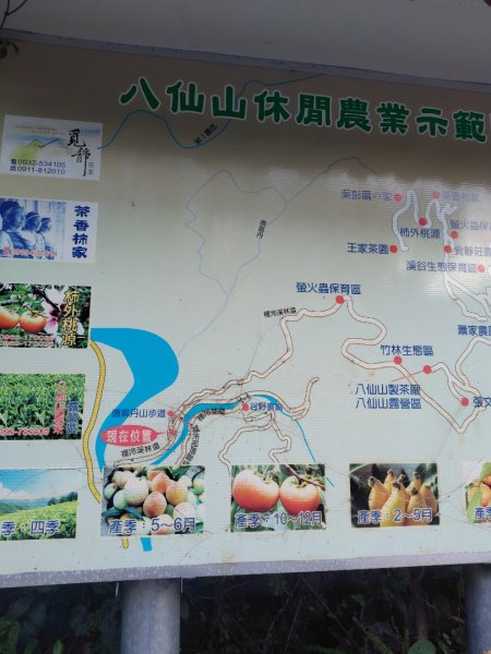 唐麻丹山 蝴蝶谷2918912