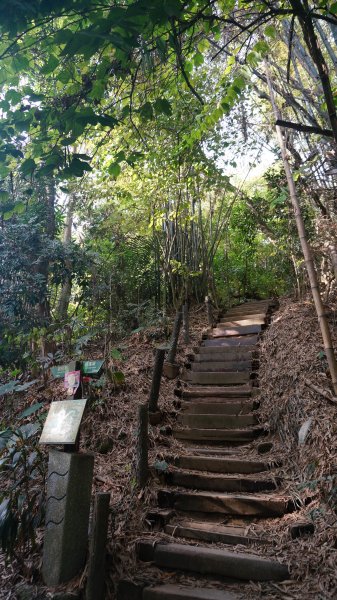 蘭潭後山步道、紅毛埤山1271922