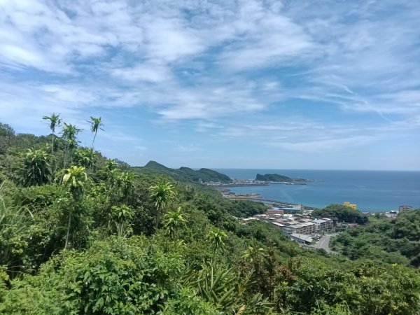 瑞芳區長青早起會觀景+碧峰岩步道2854003