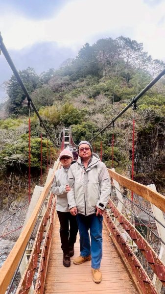 🌈2/7（六）-2/8（日）上帝部落~司馬庫斯神木2日深度之旅✨FB：熊熊趴爬走🌈🌈2995159