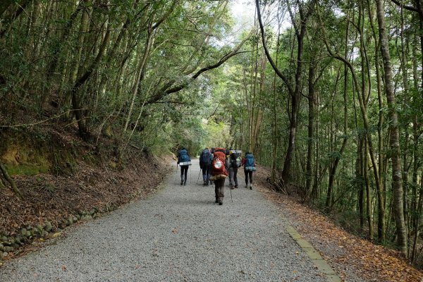 苗栗泰安 | 雪見‧初探北坑溪古道2700059