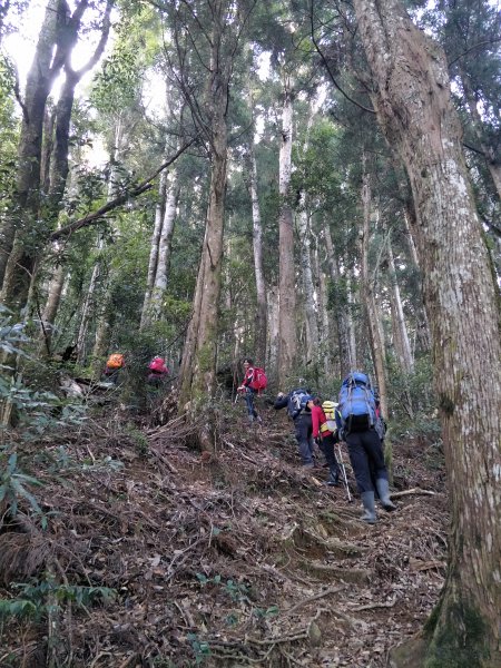 2020 01 04 麥巴來山登山步道797355