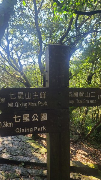 2026-0213 苗圃-凱達格蘭山-七星錐-七星山南峰-小油坑-竹子湖-水車寮步道-湖田猴崁步道-3005652