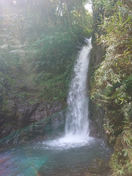 唐麻丹山封面
