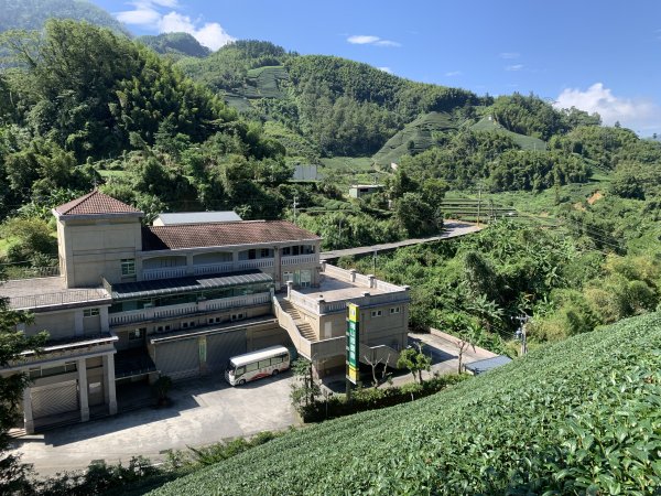 20250816嘉義鼠眉毛O繞2864070