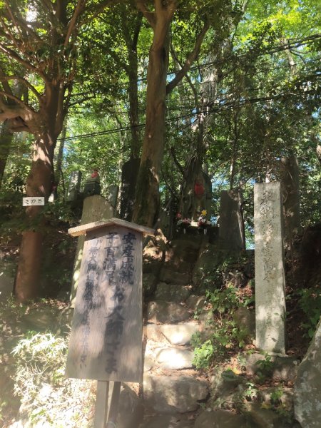 東京八王子高尾山3090131