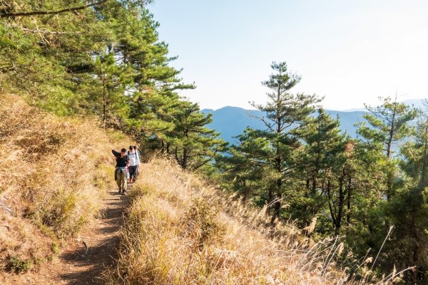 雪山東峰單日往返539573
