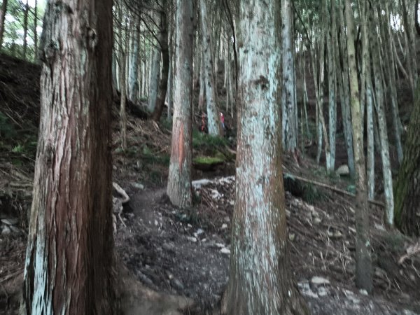 北一段(01/14)勝光山 2025_0906~132885047