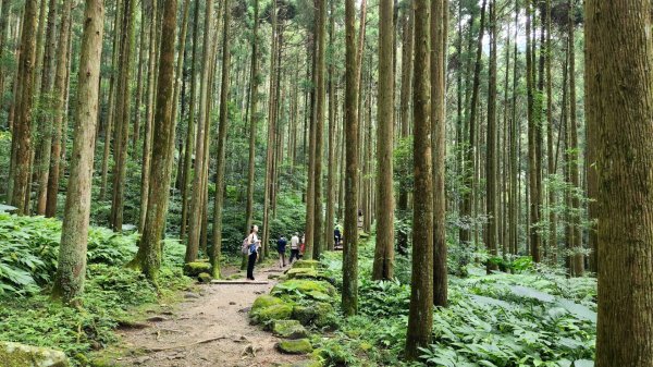 馬武督探索森林，峨眉湖環湖步道，十二寮登山步道，新竹枕頭山（中山公園），竹東森林公園1824542