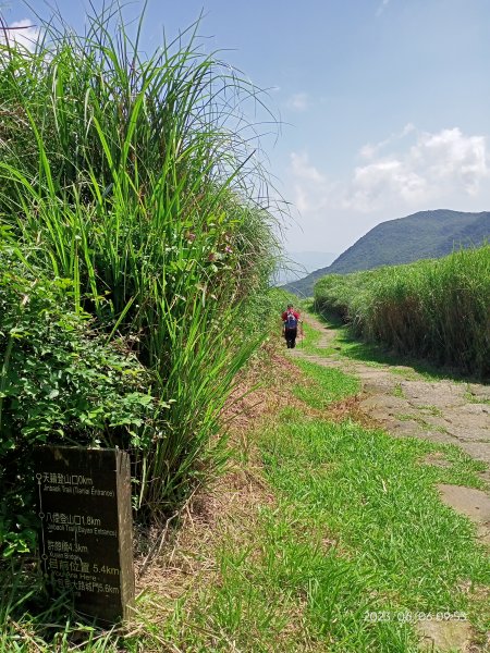 金包里大路(擎天崗至上磺溪停車場段)【走遍陽明山】2174793