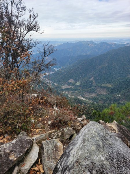 2026-0201-東卯山3013021