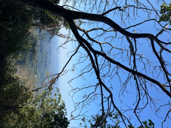 台南市白河區、嘉義縣大埔鄉交界，小百岳63號大棟山ㄧ等三角點2428591