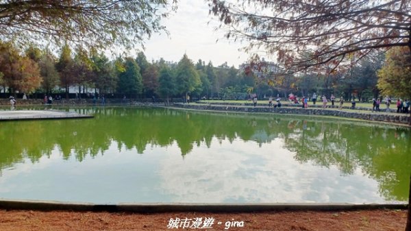 【南投名間】欣美創意園區~落羽松2968328