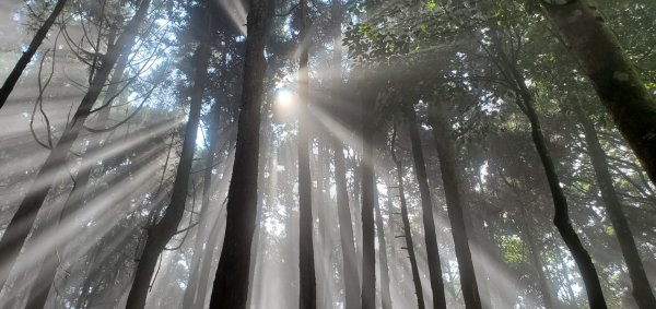 大雪山系-長壽山親子健行路線1864631