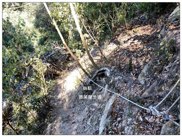 東卯山、東卯山西峰、東卯山西南峰 連走2932835