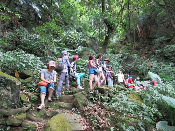 清涼一夏~青山瀑布尖山湖步道O型走48666