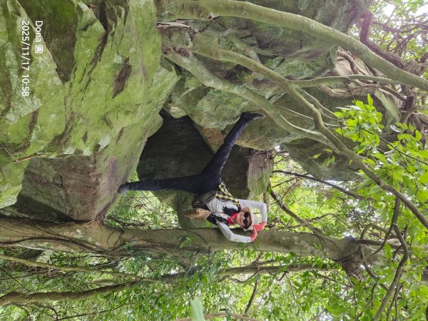 20251117新竹內灣三山四峰(內灣山.麥樹仁山南峰.麥樹仁山.白石湖山)2939902