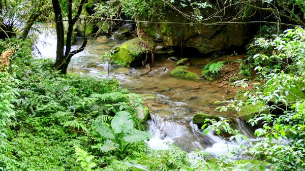 蛇子形古道。美廠產能完售2784738