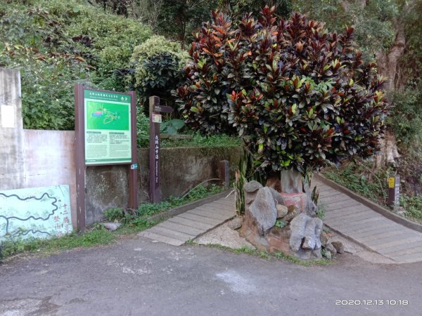  步道巡訪員 l 崁頭山步道12月份巡禮1204914