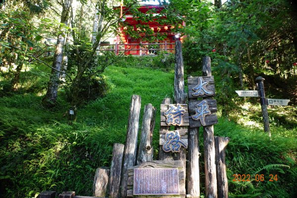 宜蘭 大同 太平山森林遊樂區1743637