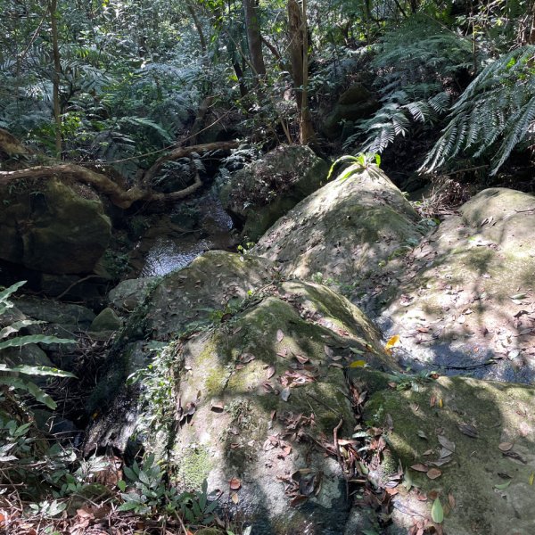 20241130 臺北大縱走第五段：捷運劍潭站至碧山巖（小百岳-劍潭山）2969057