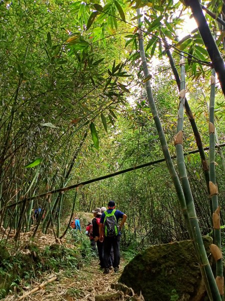 樂活遨遊坪頂古圳步道→荷蘭古道→高頂山→北五指山→頂山→風櫃嘴→天溪園→聖人橋1509505