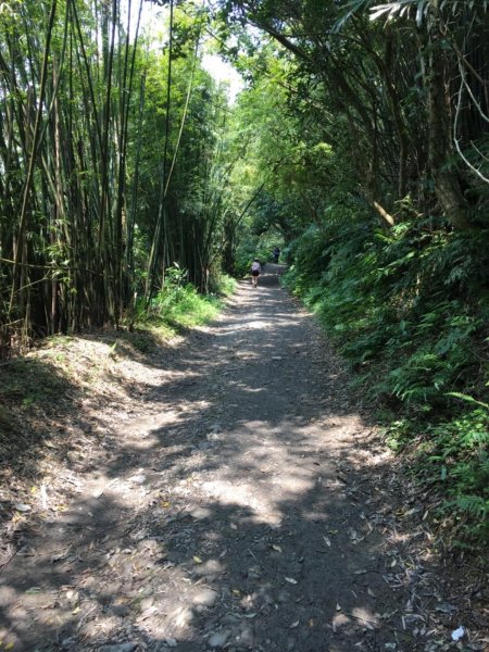 20190405_聖母登山步道588394