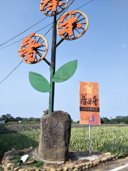 田園茶香賞茶步道1254711