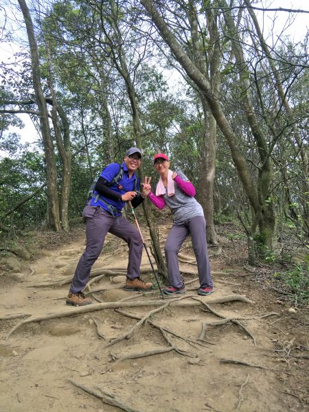 石壁潭山 中坑山 飛鳳山 O 型走297449