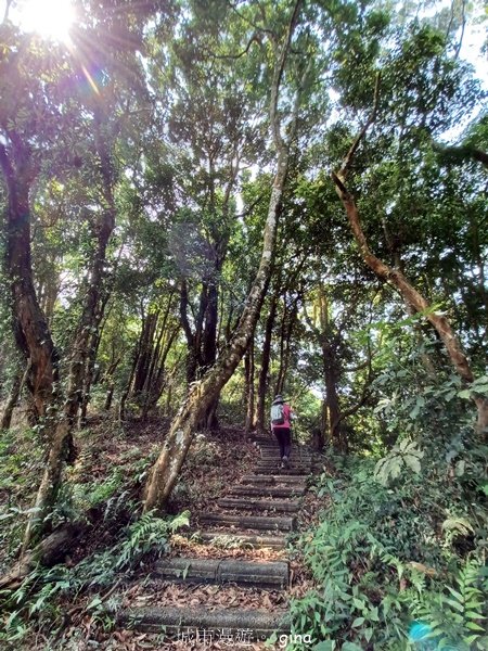 【苗栗大湖】步道多行走在舒適的綠蔭中。 No36小百岳~關刀山步道(出關古道關聖段)2528136