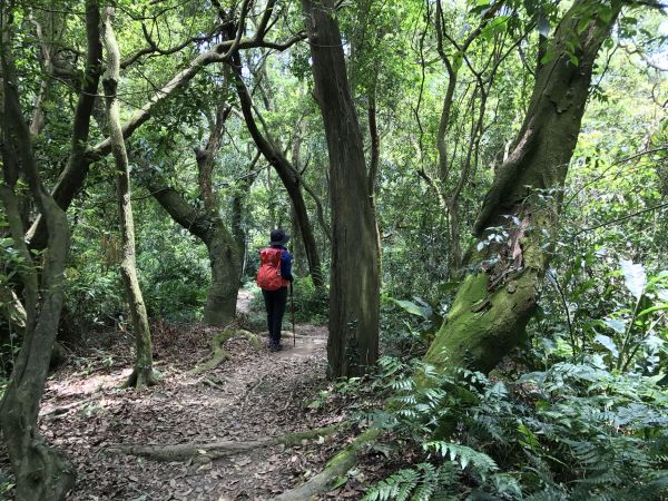 大艽芎縱走新溪洲山120685