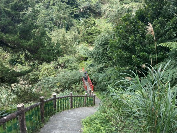 臺北大縱走第七段：飛龍步道→指南宮步道1315262