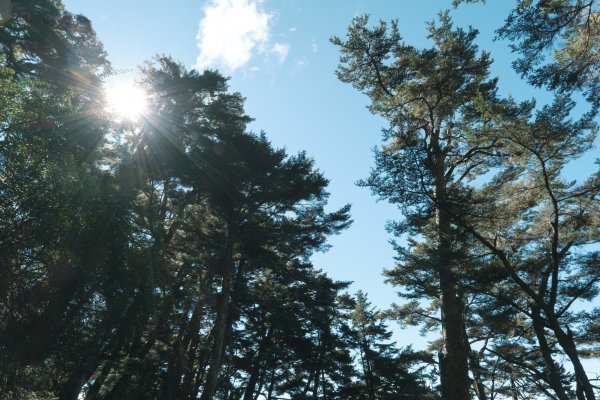 【玉山】主峰北峰二日，臺灣第一高峰雪季最美角度1881197