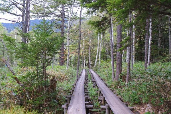 上高地河童橋735581