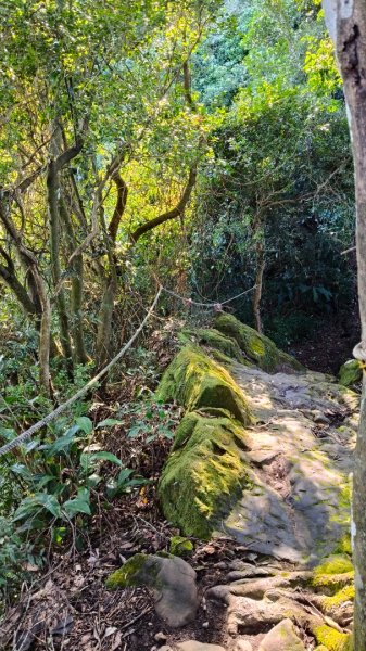 叮叮叮：一個人的微笑山線😊2917419