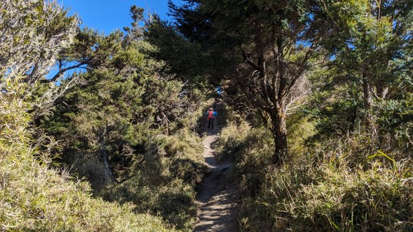 關山嶺山步道2436156