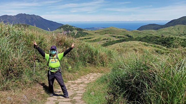 捷運劍潭站→內寮古道→竹篙山→擎天崗1459551