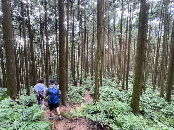 油羅山 2025 09/132890057