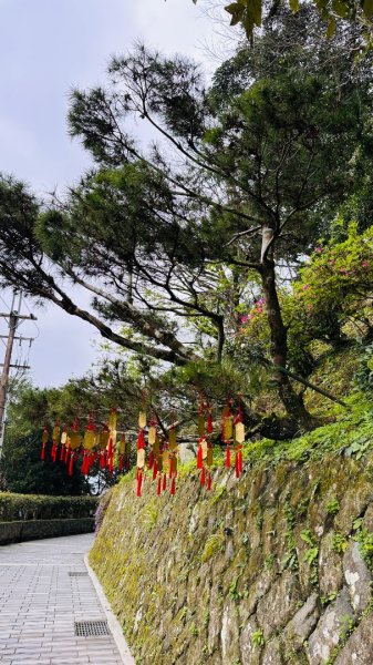 250307台北大縱走第七段2729367