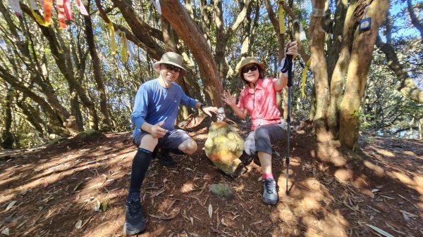 【細說大雪山木馬古道】橫嶺山、沙蓮山、笛吹山O繞2921102