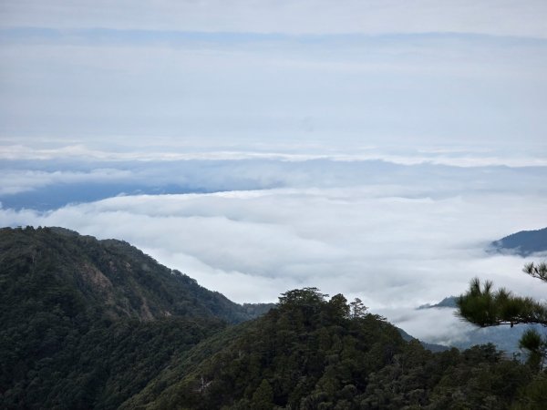 鳶嘴山+稍來神木2709880