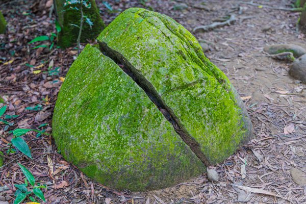 [新竹]飛鳳山2512099