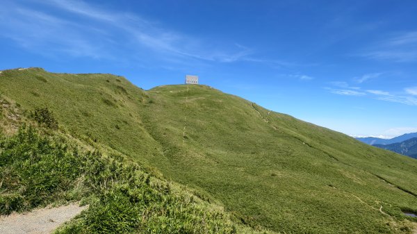 合歡山北峰 小溪營地 鷹角石 合歡北峰名樹2903404
